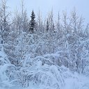 ���� �����, ������, 51 ��� - ��������� 4 �������� 2013 � ������ ���� ����������