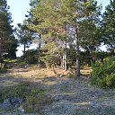 ���� Alexandr, ���������, 50 ��� - ��������� 25 ������� 2013 � ������ ���� ����������