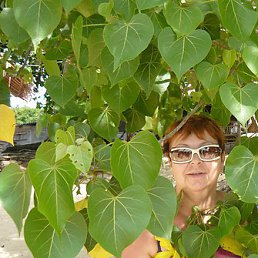 �������, ���������