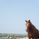 ���� �������, ������, 61 ��� - ��������� 27 ������ 2013