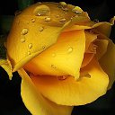 ���� ������, ���������� - ��������� 1 ����� 2014 � ������ ���� ����������