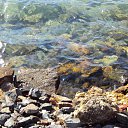 ���� �������, ���������, 36 ��� - ��������� 24 ������ 2013 � ������ ���� ����������