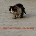 ���� �����, �����, 50 ��� - ��������� 30 ������� 2013 � ������ ���� ����������