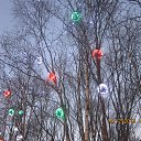 ���� ���������, ��������, 43 ���� - ��������� 9 ������ 2014 � ������ ������ ��������