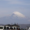 ���� ������, �����-���������, 61 ��� - ��������� 31 ������� 2013 � ������ ������� ������ 2013�