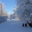  ---Ludmila---,  -  9  2013    