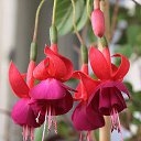 ���� �������!!!����������, ����-���, 68 ��� - ��������� 14 ������� 2014 � ������ ������ ��������