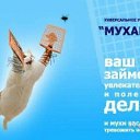 ���� ���), �����������, 24 ���� - ��������� 10 �������� 2013 � ������ ���� ����������