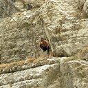 ���� �����, ���������, 37 ��� - ��������� 27 ������� 2013 � ������ ���� ����������