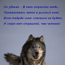 ���� ������ ����, ������ �����, 56 ��� - ��������� 29 �������� 2013 � ������ ���� ����������