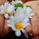 ���� *����*, ������, 57 ��� - ��������� 9 ������� 2014 � ������ ���� ����������