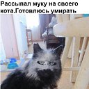 ���� ����� ��������, �����������, 43 ���� - ��������� 30 �������� 2013 � ������ ���� ����������