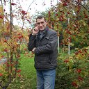 ���� ����, �������, 61 ��� - ��������� 23 ������ 2013 � ������ ���� ����������