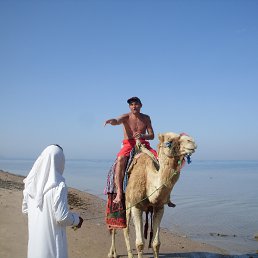 �����, ��������, 58 ���