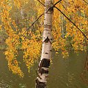 ���� ����, �����-���������, 58 ��� - ��������� 12 ������� 2013 � ������ ���� ����������