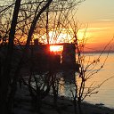 ���� ���������, ������, 65 ��� - ��������� 21 ������� 2014 � ������ ��������