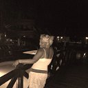 ���� �������, ������, 41 ��� - ��������� 22 ������� 2013 � ������ ���� ����������