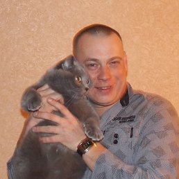 �����, ���������, 46 ���