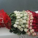 ���� ������, ������� - ��������� 15 �������� 2013 � ������ ������ ��������