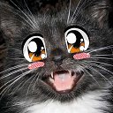 ���� ������, ��������� - ��������� 27 �������� 2013