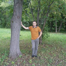 ���� Roman, ������ ��������, 45 ��� - ��������� 9 ������ 2013