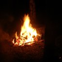 ���� ���������, ������ �������� - ��������� 31 ������� 2013 � ������ ���� ����������