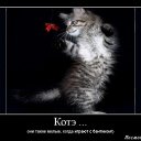 ���� ����, ��� - ��������� 2 �������� 2013