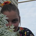 ���� �������, �������, 36 ��� - ��������� 22 ������� 2013 � ������ ������ ��������