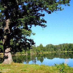 ��������, �������-�����