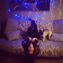 ���� ��������, ������ - ��������� 22 ������� 2013 � ������ ���� ����������