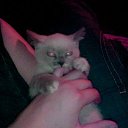 ���� ���, ������ - ��������� 28 ������� 2013 � ������ ����� ��� ������������