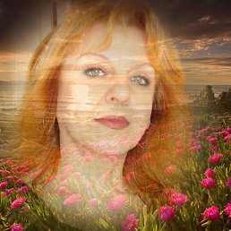 ���� ����, �����-���������, 65 ��� - ��������� 7 ������� 2014