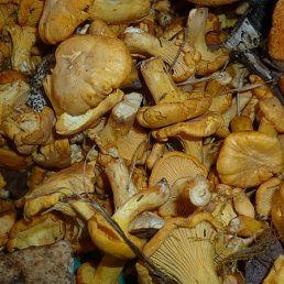 ���� �������, ������, 30 ��� - ��������� 13 ������� 2014