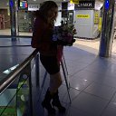 ���� ����, ����, 40 ��� - ��������� 29 ������ 2013 � ������ ���� ����������