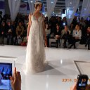 ���� �������, ������ - ��������� 11 ������ 2014 � ������ ��������� 2014 �������˻