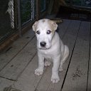 ���� �������, ����-���������, 52 ���� - ��������� 19 ������ 2013