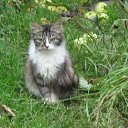 ���� ����, ������, 53 ���� - ��������� 8 �������� 2013 � ������ �������