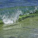 ���� �����, ������, 35 ��� - ��������� 22 ������� 2014 � ������ �������