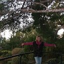 ���� �������, ����������, 66 ��� - ��������� 31 ������� 2013 � ������ ���� ����������