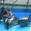 ���� �����, ������-������, 54 ���� - ��������� 7 ������� 2013 � ������ ���� ����������