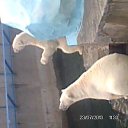 ���� ������, �����������, 35 ��� - ��������� 28 ������� 2014 � ������ ���� ����������