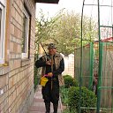 ���� ����, ��������������, 67 ��� - ��������� 28 �������� 2013 � ������ ���� ����������