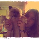 ���� ���, ���������� - ��������� 4 ������� 2013 � ������ ���� ����������