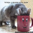 ���� �, �������, 42 ���� - ��������� 15 ������ 2014 � ������ ���� ����������