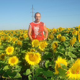 ���� �������, ������, 68 ��� - ��������� 15 ������ 2014