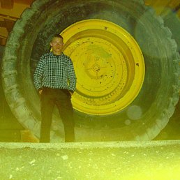 ����, 38 ���, �������