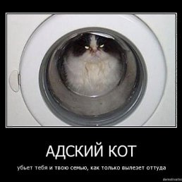 ���� ������, ��������, 45 ��� - ��������� 13 ������� 2013