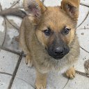 ���� �������, ������, 51 ��� - ��������� 29 ������ 2013 � ������ ���� ����������