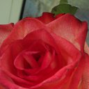 ���� Svetlana, ������ - ��������� 27 ������� 2014 � ������ ������ ��������