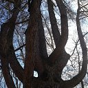 ���� ���������, �����-���������, 57 ��� - ��������� 7 ������ 2014 � ������ ���� ����������